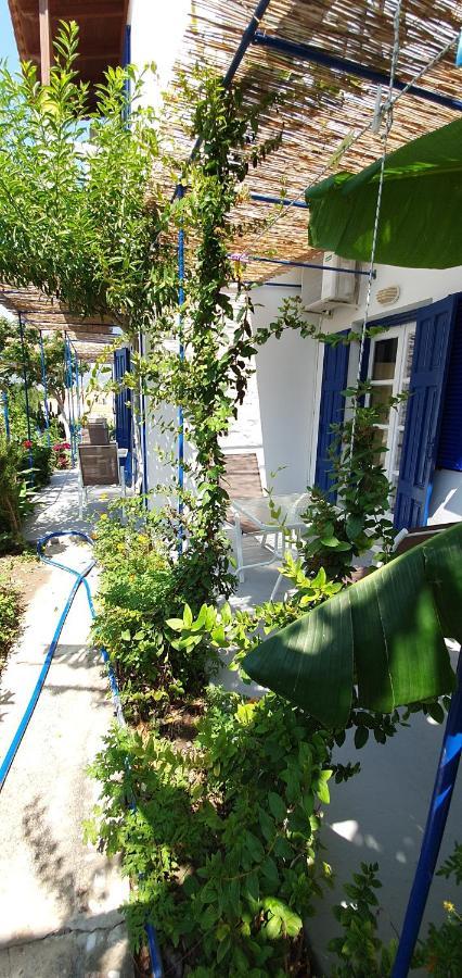 Jenny Apartments 카를로바씨 외부 사진