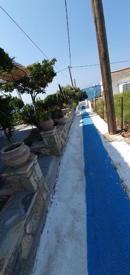 Jenny Apartments 카를로바씨 외부 사진