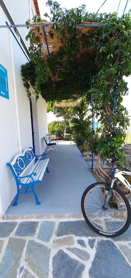 Jenny Apartments 카를로바씨 외부 사진